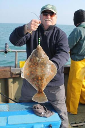 2 lb 13 oz Plaice by Unknown