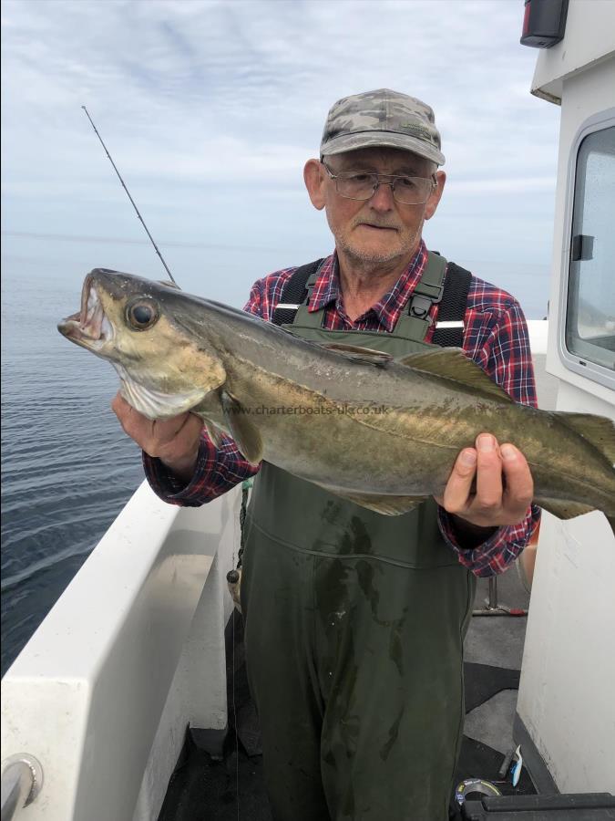 8 lb Pollock by Unknown