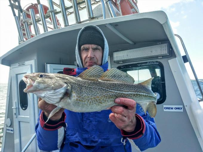 4 lb Cod by Unknown