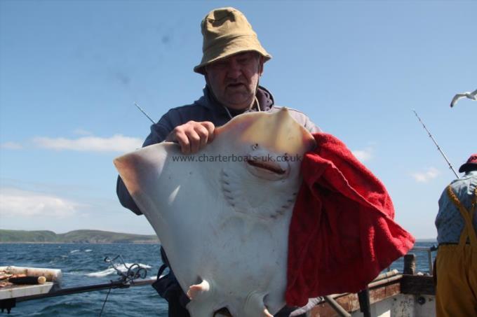 15 lb Thornback Ray by ian elliott