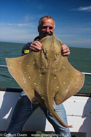 14 lb Blonde Ray by Graeme