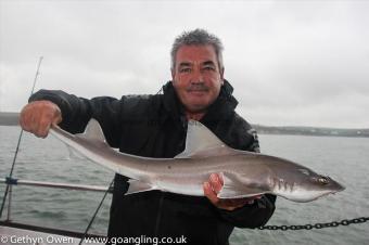 10 lb Starry Smooth-hound by Dave