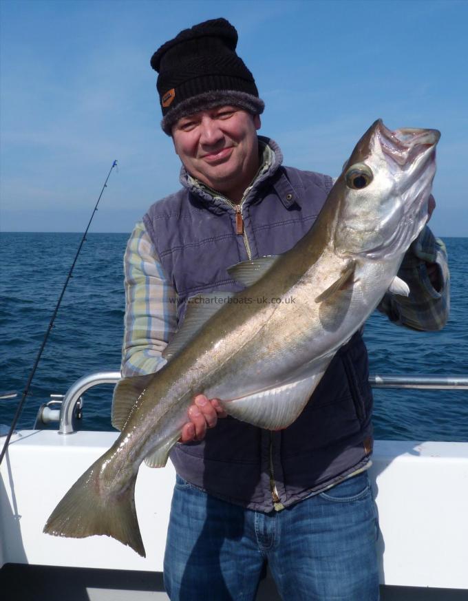 11 lb Pollock by David