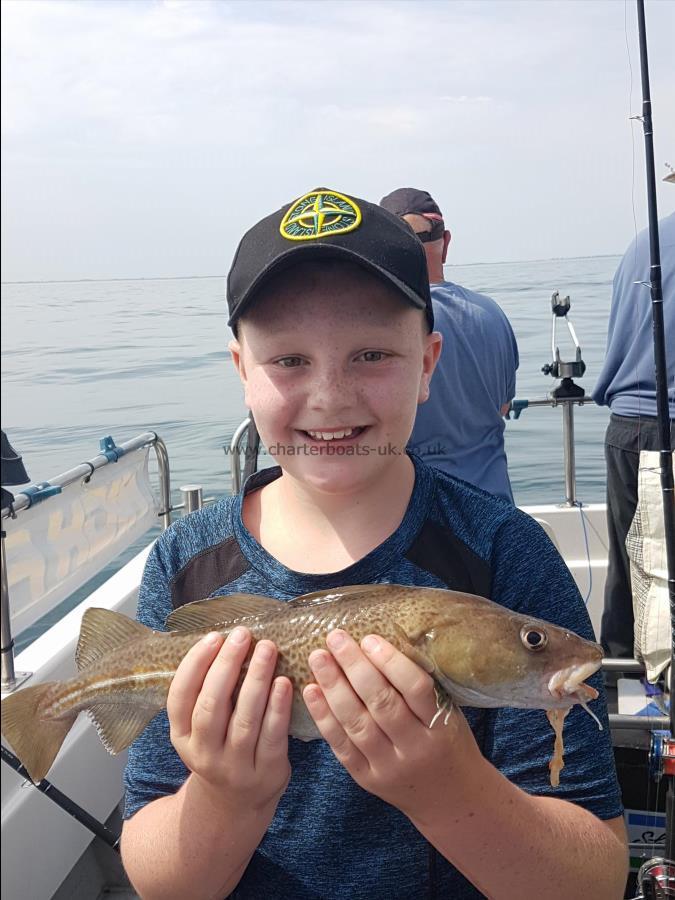 1 lb Cod by Young Dillan