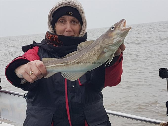 3 lb Cod by Sarah Dewing