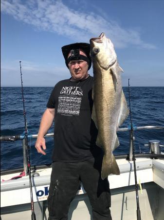 14 lb Pollock by Kevin McKie