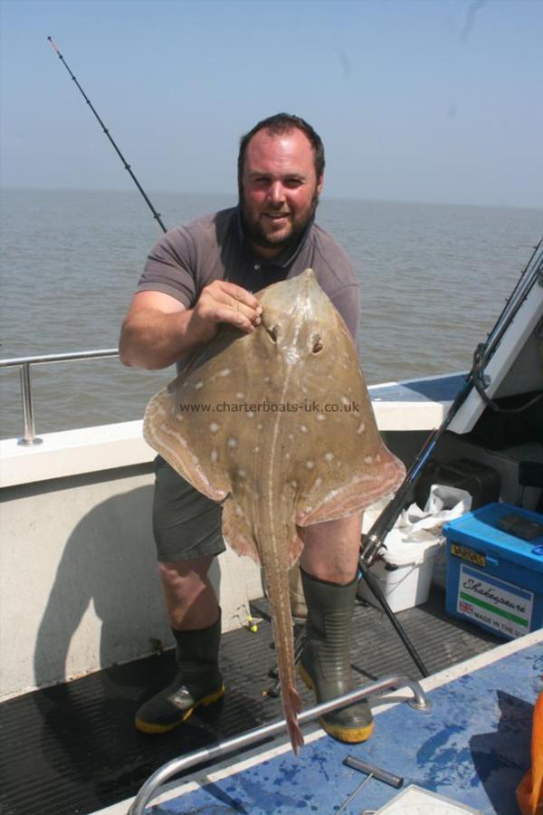 12 lb 14 oz Small-Eyed Ray by Unknown