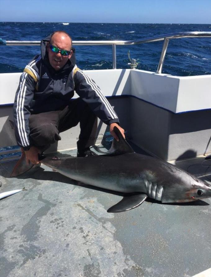 140 lb Porbeagle by Unknown