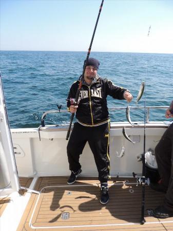 8 oz Mackerel by John's crowd