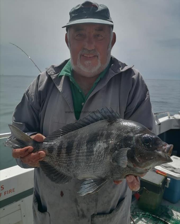 3 lb 2 oz Black Sea Bream by Tony