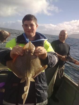 4 lb Spotted Ray by Unknown