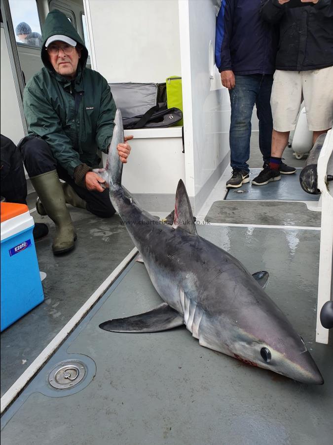 100 lb Porbeagle by Jon