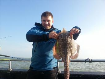 6 lb Thornback Ray by Matthew