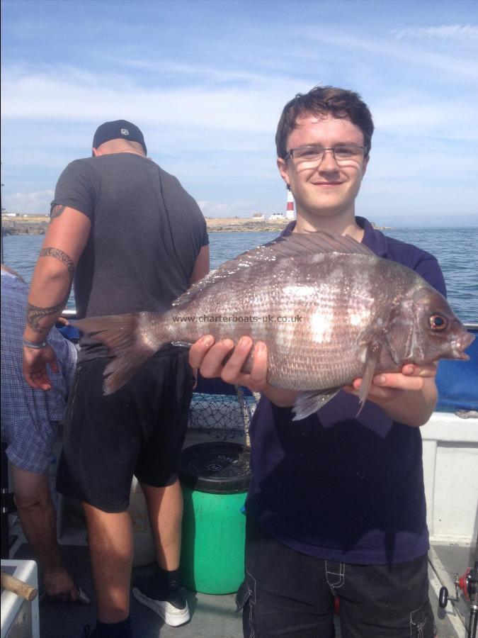 3 lb 10 oz Black Sea Bream by Alex