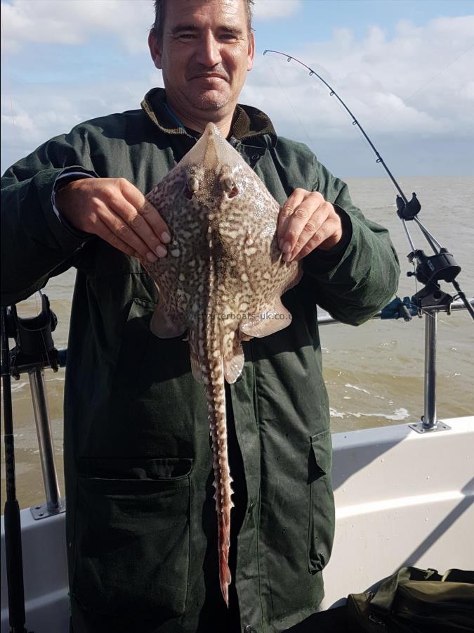 3 lb 1 oz Thornback Ray by Pete from Luton