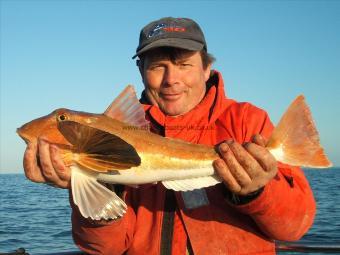 4 lb 3 oz Tub Gurnard by Unknown