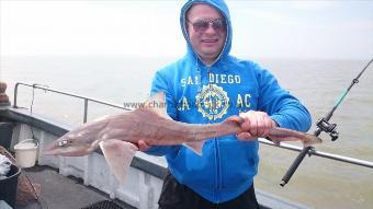 6 lb 3 oz Starry Smooth-hound by Adam from london