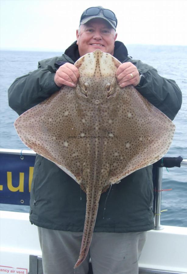 17 lb Blonde Ray by Paul Milkins