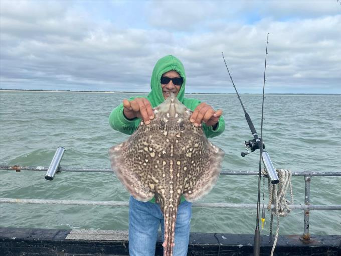 10 lb Thornback Ray by Unknown