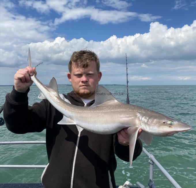 9 lb Smooth-hound by Unknown