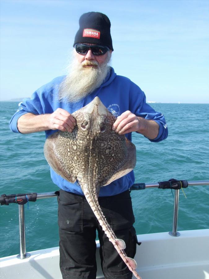 10 lb Thornback Ray by Alan Larrad