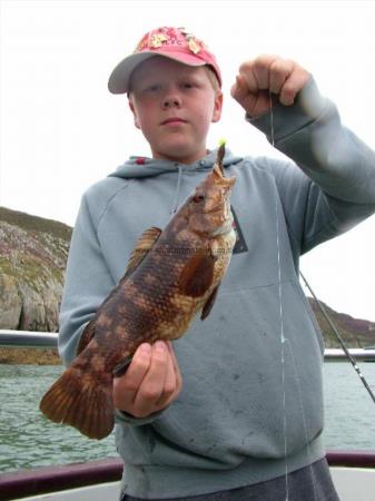 2 lb Ballan Wrasse by Harry Owen