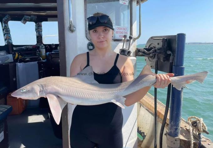 8 lb Smooth-hound by Unknown