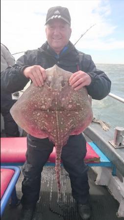 11 lb 3 oz Thornback Ray by Colin from london