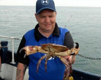 3 lb Spider Crab by Unknown