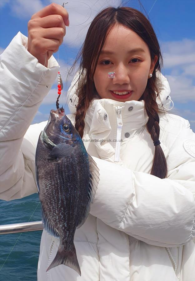 2 lb 4 oz Black Sea Bream by Unknown