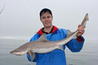 14 lb 5 oz Starry Smooth-hound by Tomas