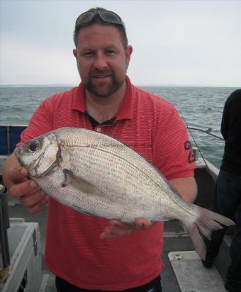 3 lb Black Sea Bream by Paul Stevens