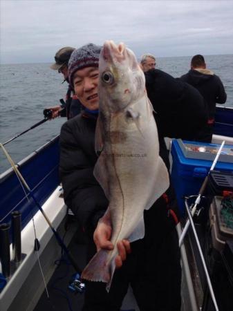 6 lb Haddock by Unknown