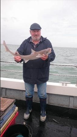 6 lb Starry Smooth-hound by Bob Marshall