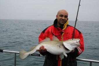 21 lb 8 oz Cod by Banji