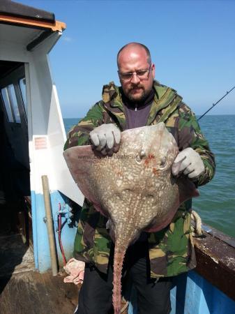 9 lb 1 oz Common Skate by Unknown