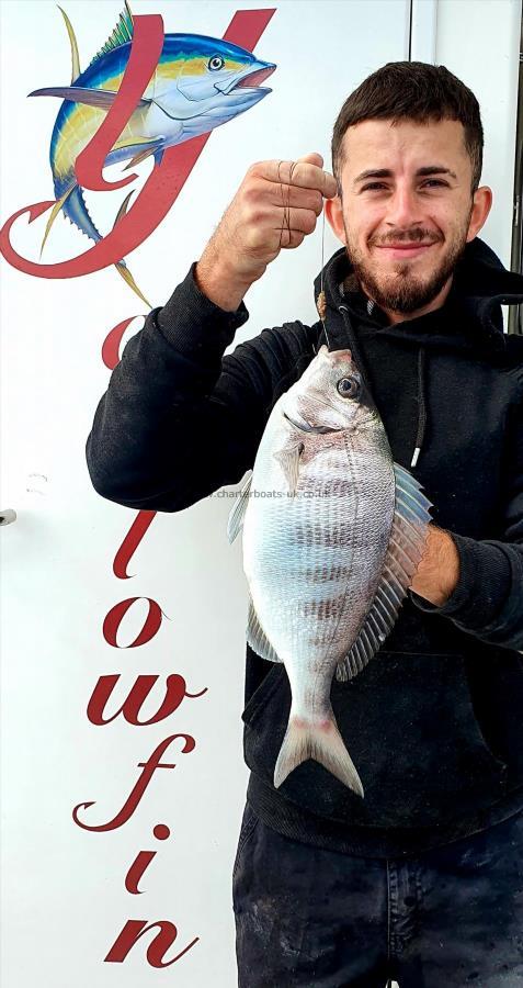 2 lb Black Sea Bream by Unknown