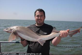 15 lb Starry Smooth-hound by Mark