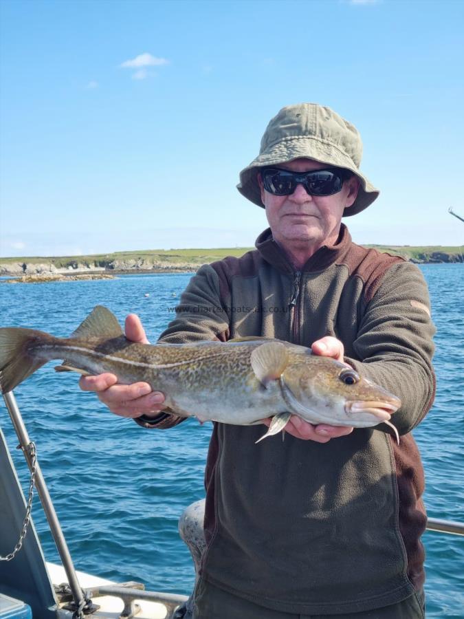 3 lb 9 oz Cod by Unknown