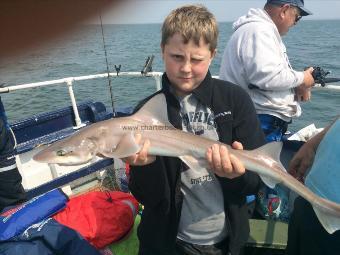 6 lb Smooth-hound (Common) by Unknown