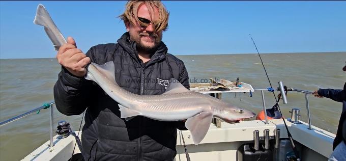 7 lb Smooth-hound by Paul