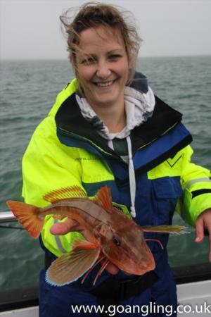 2 lb 8 oz Tub Gurnard by Gina