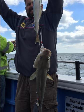 2 lb Pollock by a cod and pollock together