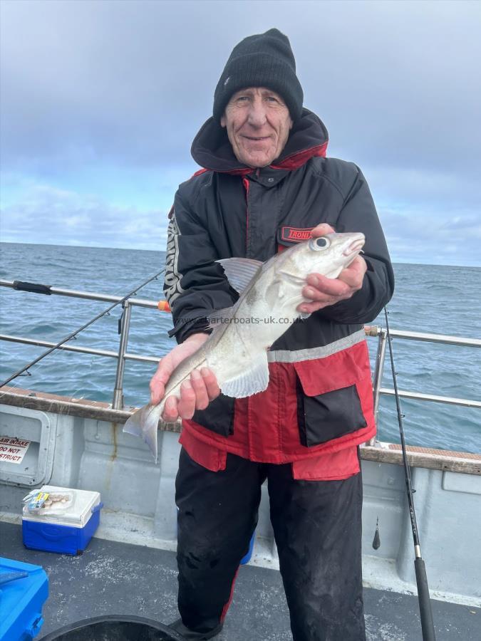 3 lb 1 oz Haddock by Unknown