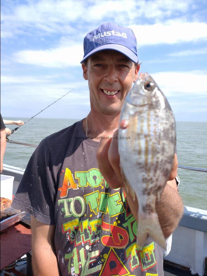 1 lb Black Sea Bream by Paul