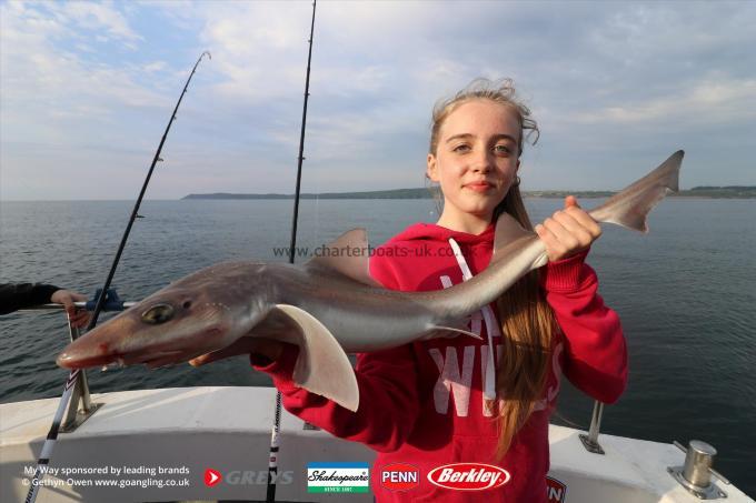 7 lb Starry Smooth-hound by Ebony