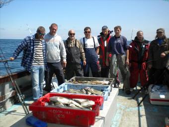 12 lb Cod by Sheppey Boys