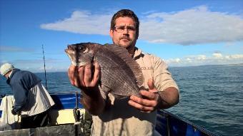 3 lb Black Sea Bream by Stephen Wake