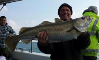 16 lb 4 oz Pollock by Chalky White's crew