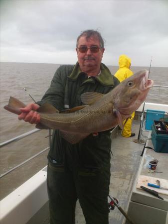 10 lb Cod by johnny blackmore